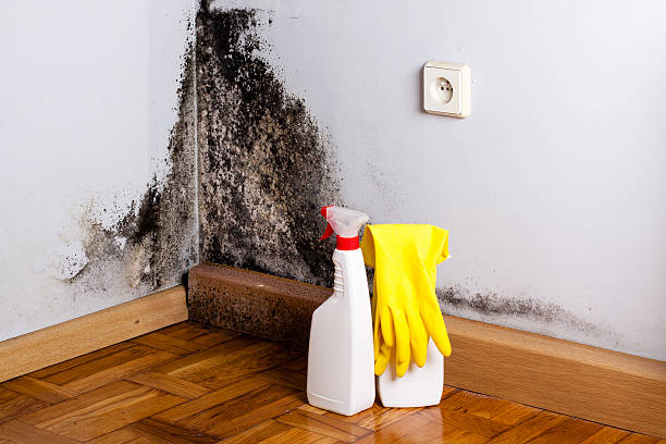 Best Crawl Space Mold Removal  in El Mirage, AZ